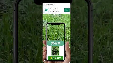 picture this application