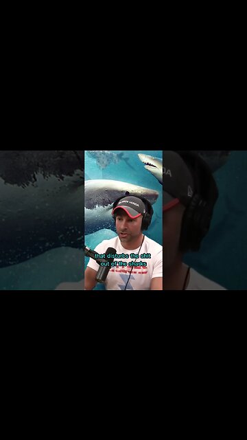 A device that repels sharks? Peter Attia and Joe Rogan