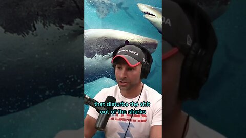 A device that repels sharks? Peter Attia and Joe Rogan