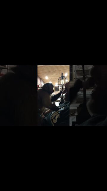 My dad is not taking my last bite! Bossy girl with her pop tonight as she moves #Shorts