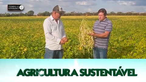 Agricultura Sustentável - com Frederico Olivi