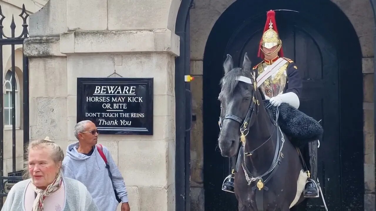 she actually grabbed the guards leg #horseguardsparade