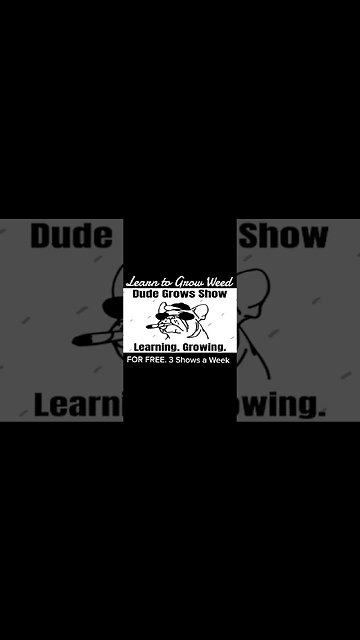 🔥Teaching Growing, while Learning & Growing. - The Dude Grows Show 🔥