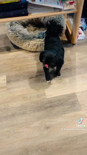 #love #Tamararoseblodgett