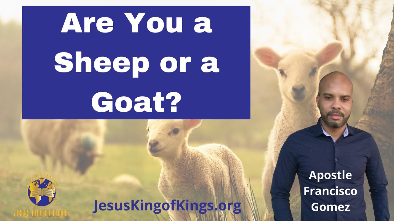 Are You are a sheep or a goat? Do You serve Jesus or the world?