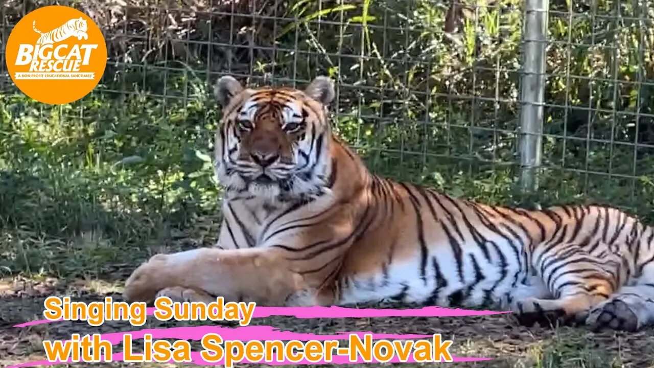 It’s Singing Sunday with Carole Baskin & Lisa Spencer-Novak @BigCatRescue 12 18 2022