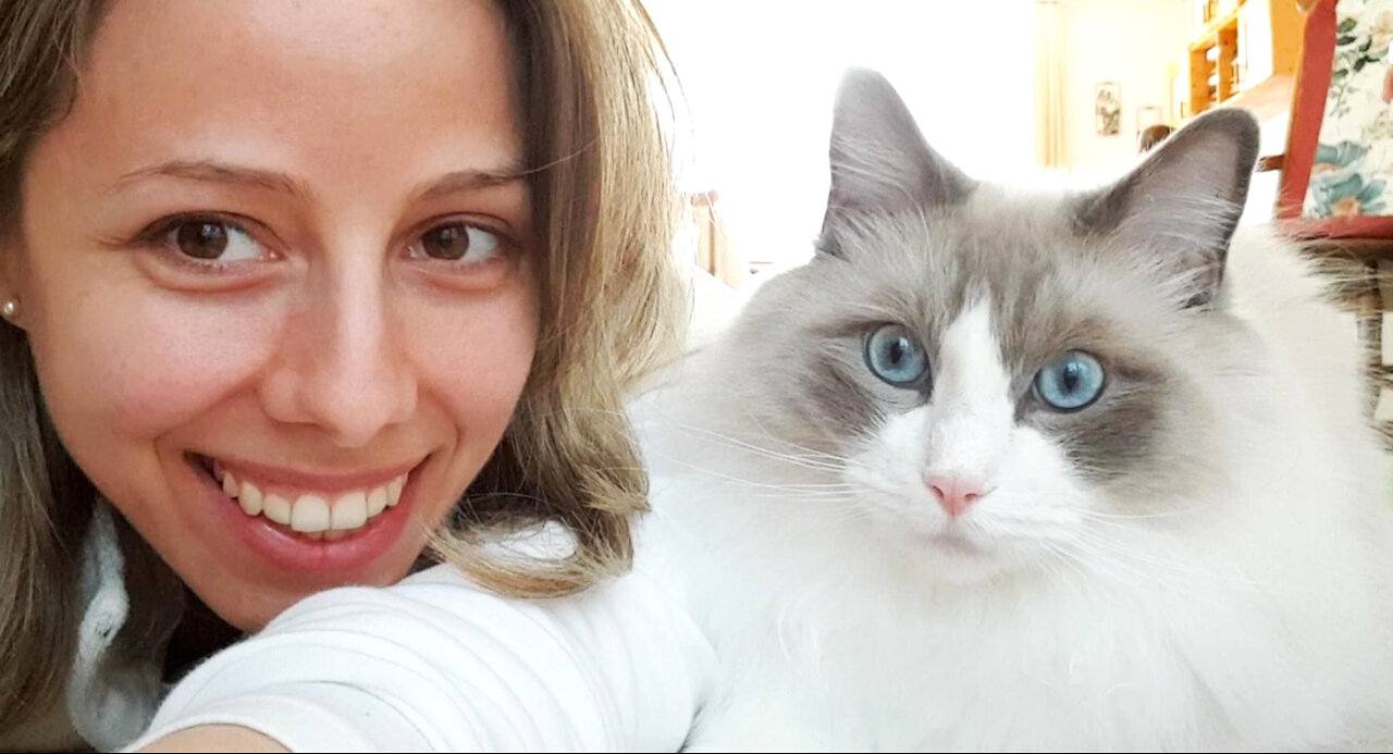 So I showed my cats the selfie-mode, they were not impressed.
