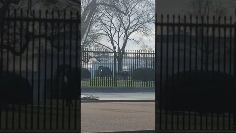 1/14/22 Nancy Drew in DC- Live Video 2- I Counted 13 Agents Going Into the WH Complex...
