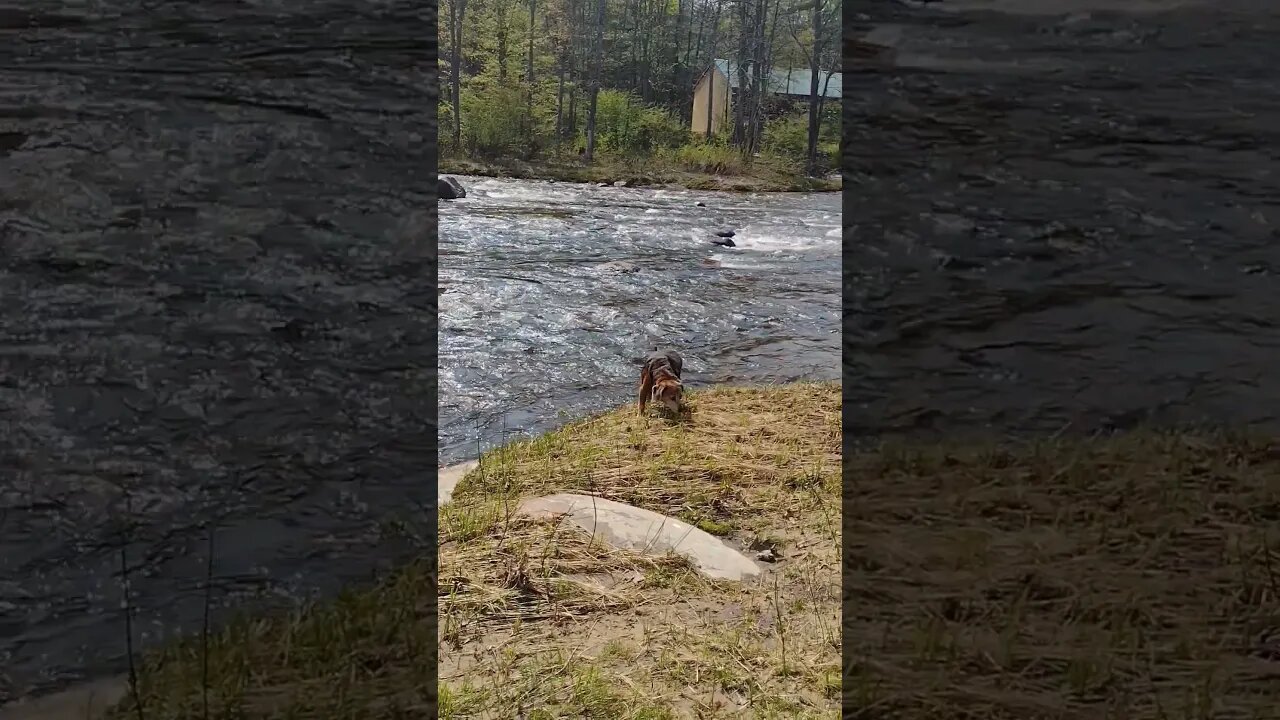 Big Water Bowl.. 🤣