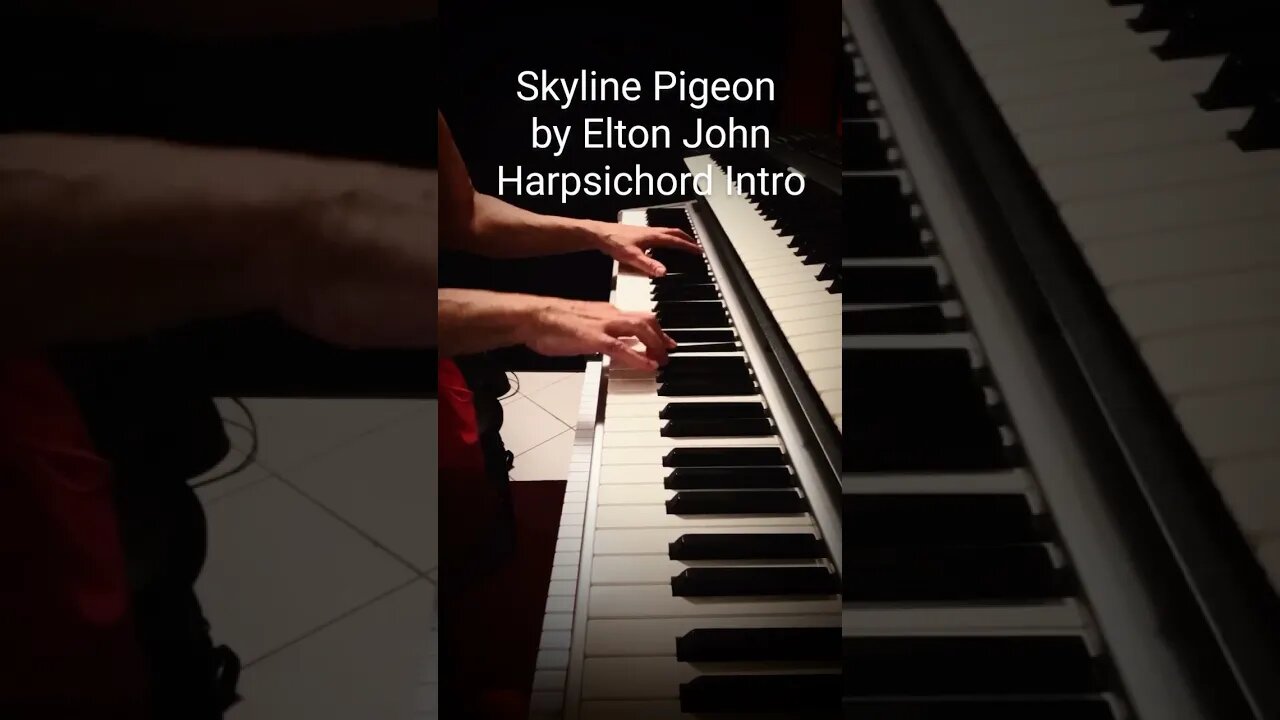 Skyline Pigeon by Elton John - Harpsichord Intro #skylinepigeon #eltonjohn #harpsichord #keyboard