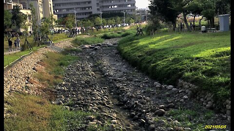 21_0505大里鳥竹圍 旱溪