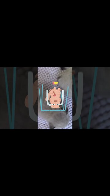 A Crying Cat Visits #Shorts 😿