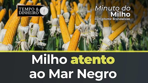 Milho de olho no Mar Negro