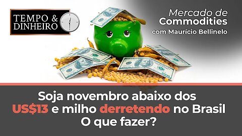 Soja novembro abaixo dos US$13 e milho derretendo no Brasil. O que fazer?