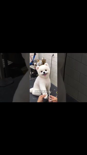 QUANDO VOCÊ ACORDA SE ACHANDO LINDA