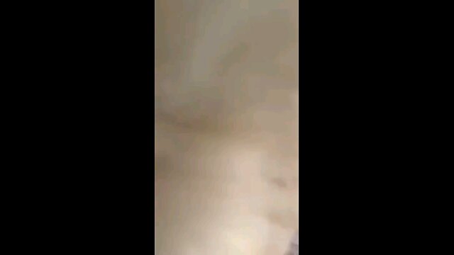 funny videos