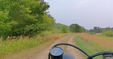 Honda CRF250F Deer Crossing Comp