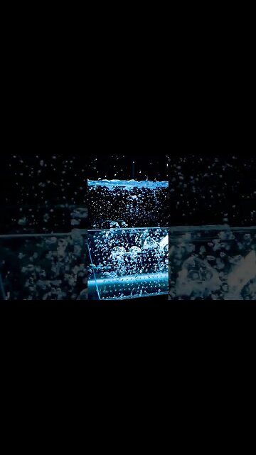 Getting some cool shots for a tarantula cribs commercial! 🖖💚🕷