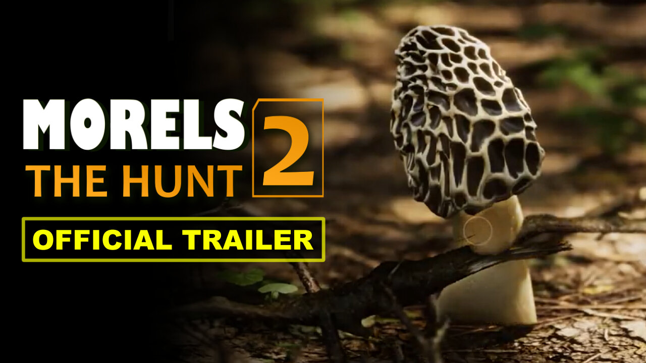 Morels: The Hunt 2 - Official Reveal Trailer