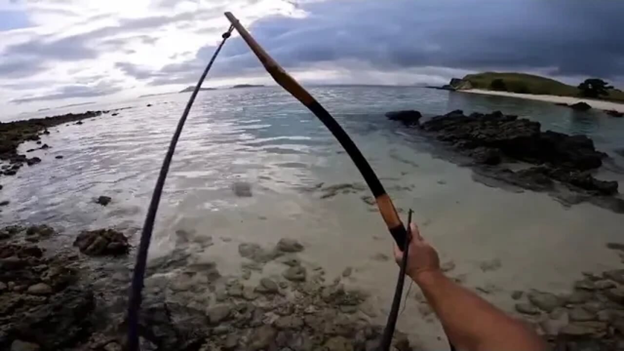 BOWFISHING Survival Catch n Cook Hunting Sharks