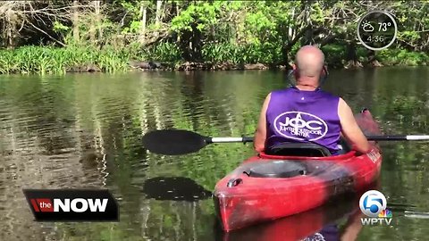 What to do if you encounter an alligator while using a watercraft