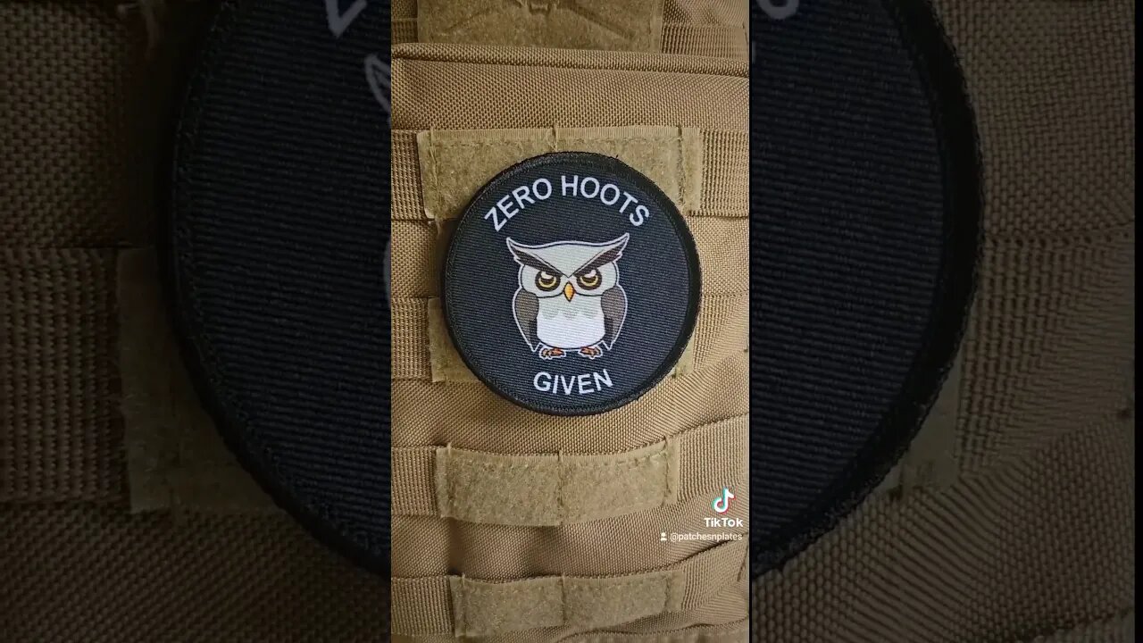 zero hoots given #owl #zero hoots #owl #shorts