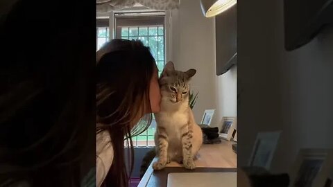 Video By flame f #Shorts