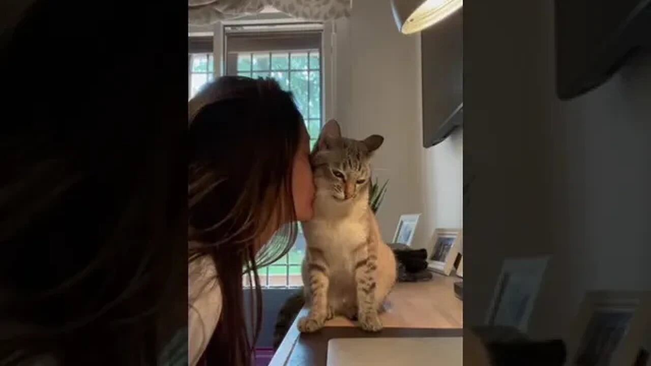 Video By flame f #Shorts