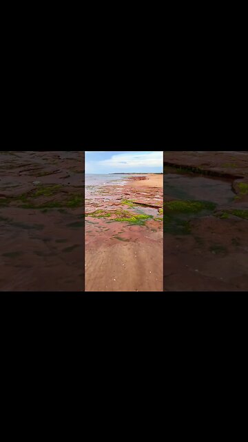 Putting my Feet in ICE COLD North Shore Water 🧊