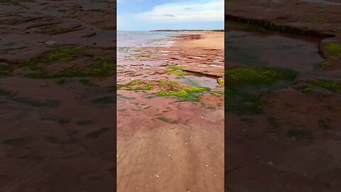 Putting my Feet in ICE COLD North Shore Water 🧊