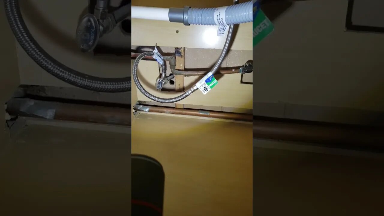 Tricks he will do...and how they laugh #shorts #youtubeshorts #homes #flipper