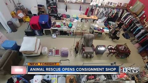 Las Vegas animal rescue opens thrift store