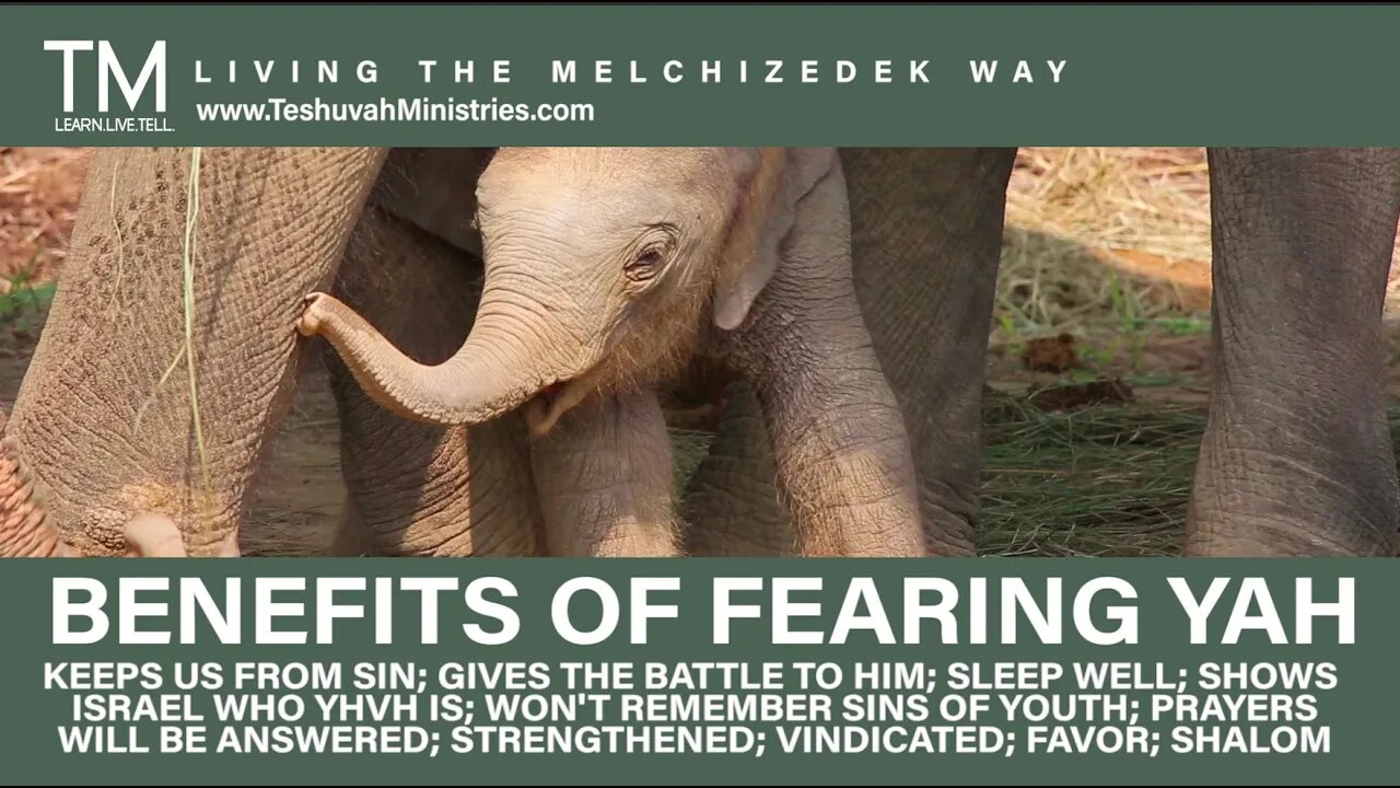 Benefits of Fearing YHVH Only - 20 | No Fear for Yah's Covenant People | The Melchizedek Way