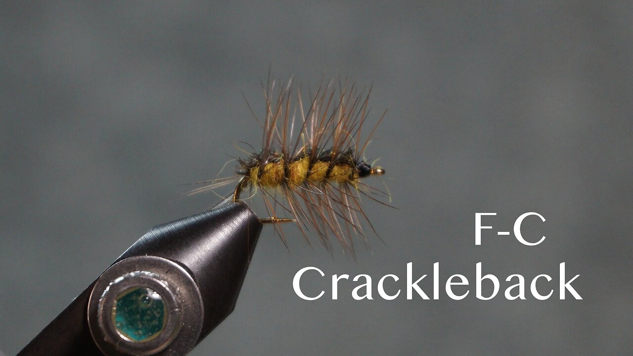 F-C Crackleback (Ed Story)