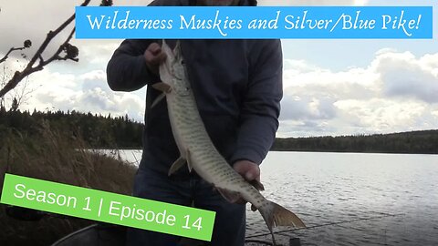 S1 | E13 - Muskies and Silver Blue Pike