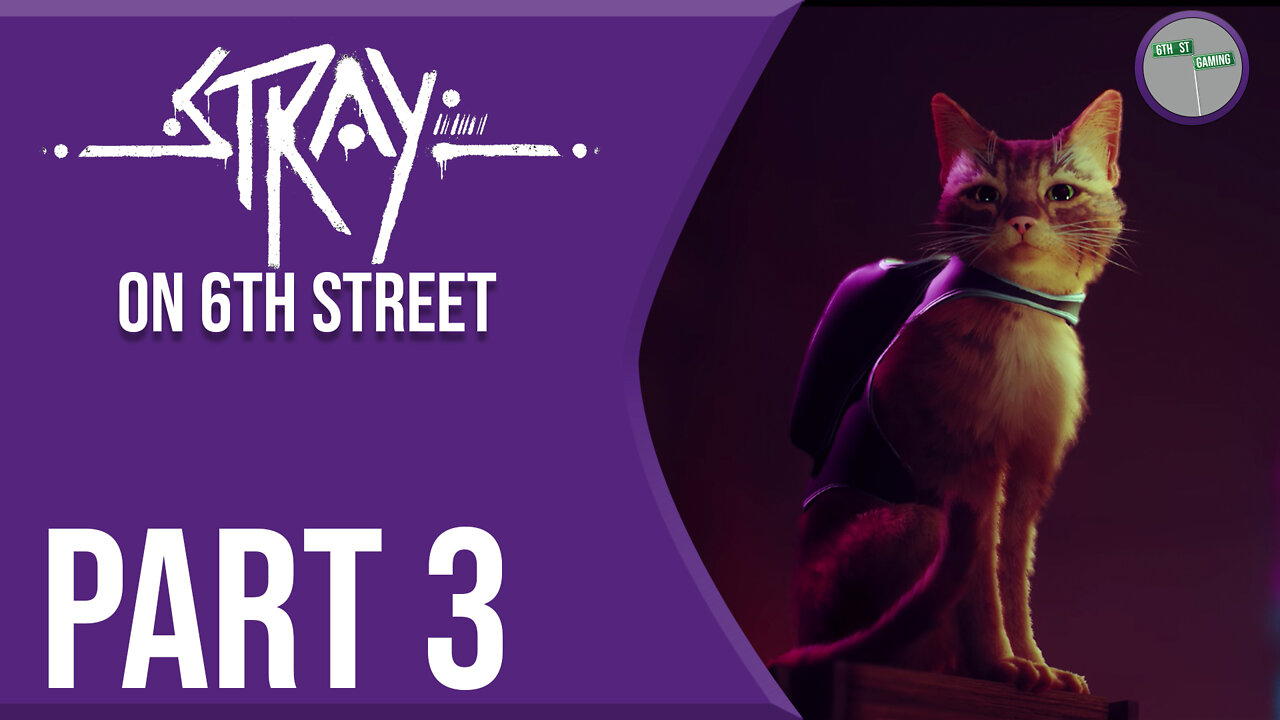 Stray on 6th Street Part 3