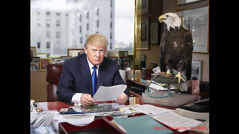 Trump Campaign 2016 - Trump vs. the Media