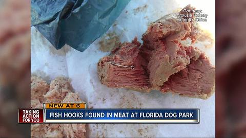 Fish hooks found in meat at Florida dog park, deputies say