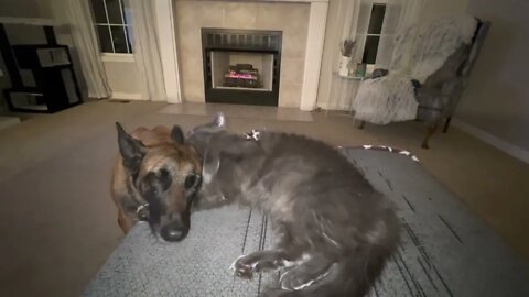 Fireside romance