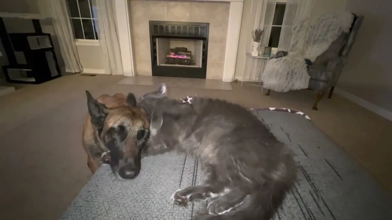 Fireside romance