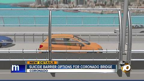 Suicide barrier options for Coronado Bridge