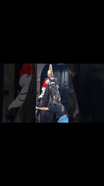 reaching out to her friend #horseguardsparade