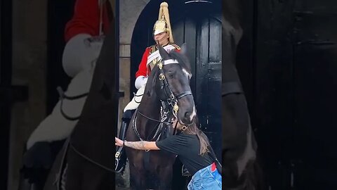 reaching out to her friend #horseguardsparade