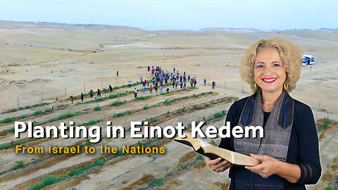 Planting in Einot Kedem | Dr. Dominiquae Bierman