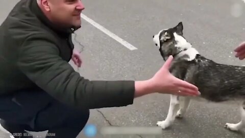 Animals Reunited With Owner After Years !-6