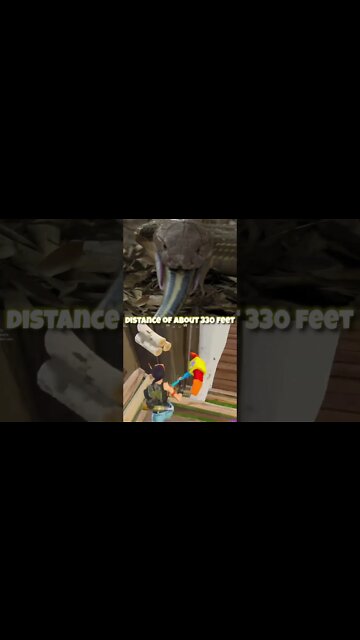 5 Snakes More Dangerous Than Your Fake Friends? | Random Madness