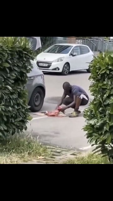 MIGRANT IN FRANCE🇫🇷🐈🧟‍♂️SLAUGHTER A CAT FOR FOOD🐈🏠💫
