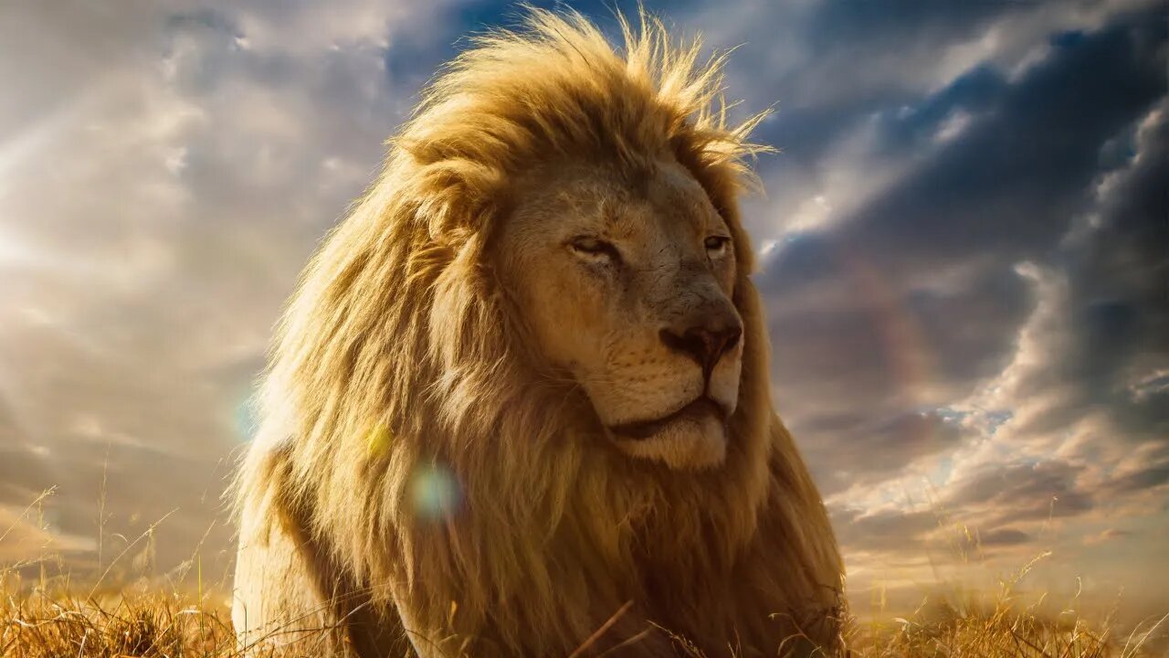 Strength for the Fight