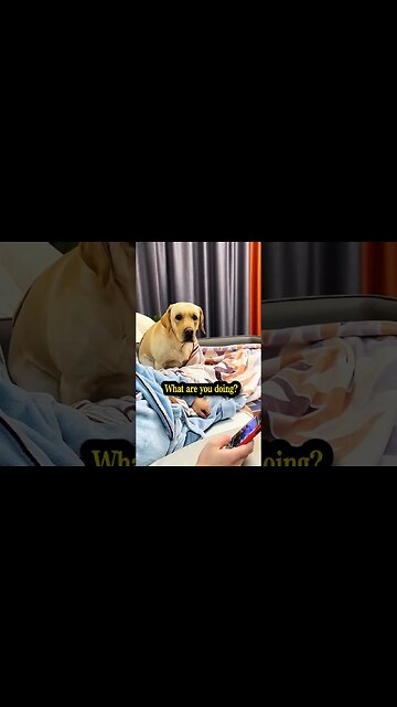 Can you tell what is the sound of