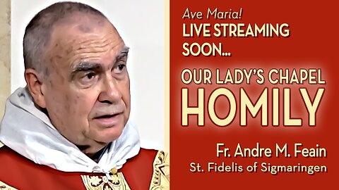 Saint Fidelis of Sigmaringen, Priest and Martyr - April 24, 2024 - HOMILY